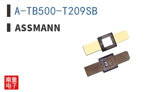 A-TB500-T209SB
