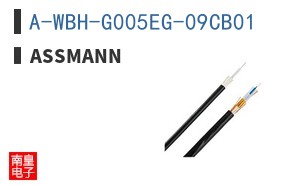 A-WBH-G005EG-09CB01