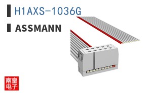 H1AXS-1036G