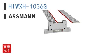 H1WXH-1036G