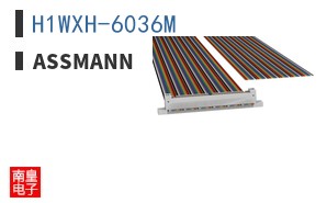 H1WXH-6036M