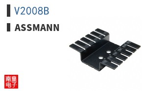 V2008B