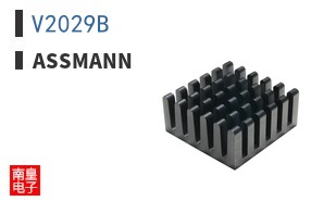 V2029B