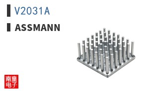 V2031A