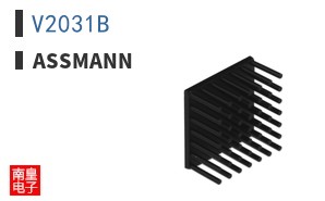 V2031B