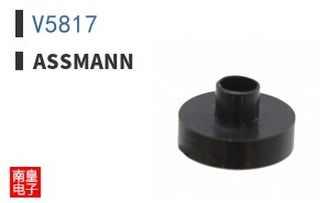 V5817