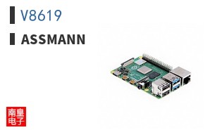 V8619