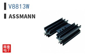 V8813W