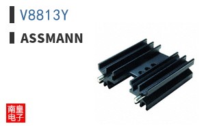 V8813Y