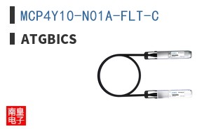 MCP4Y10-N01A-FLT-C