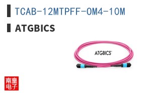 TCAB-12MTPFF-OM4-10M
