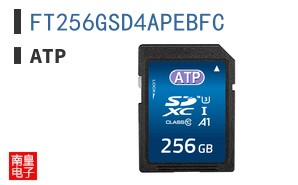 FT256GSD4APEBFC