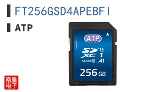 FT256GSD4APEBFI