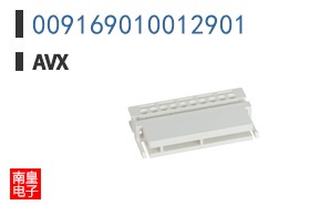 009169010012901