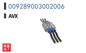009289003002006