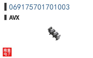 069175701701003