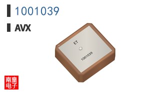 1001039