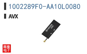 1002289F0-AA10L0080