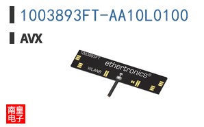 1003893FT-AA10L0100