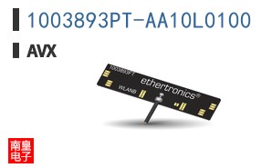 1003893PT-AA10L0100