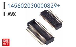 145602030000829
