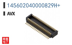145602040000829H+