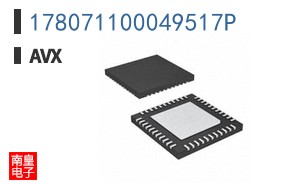 178071100049517P