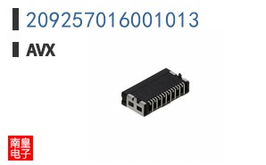 209257016001013