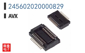 245602020000829