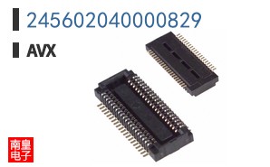 245602040000829