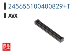 245655100400829+T