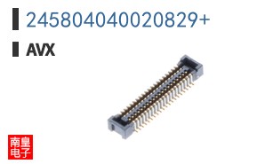 245804040020829+