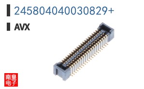 245804040030829+