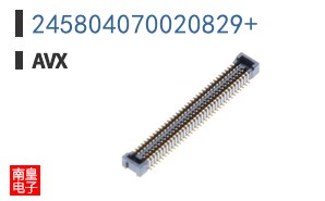245804070020829+