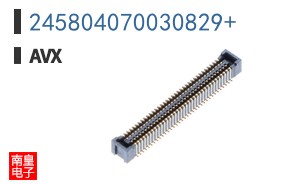 245804070030829+