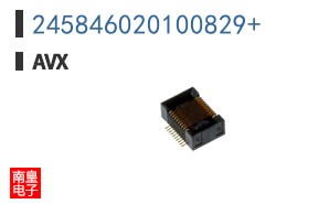 245846020100829+