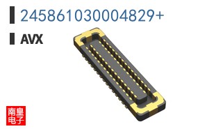 245861030004829+