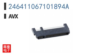 246411067101894A