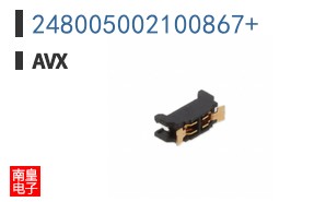 248005002100867+