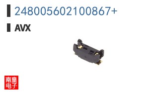 248005602100867+