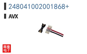 248041002001868+