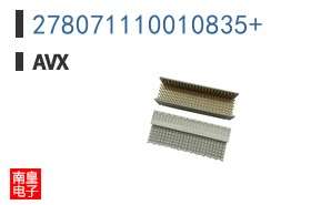278071110010835+