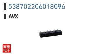 538702206018096