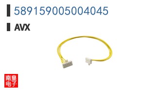 589159005004045