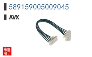 589159005009045