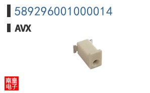 589296001000014