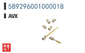 589296001000018