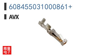 608455031000861+
