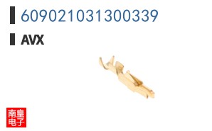 609021031300339