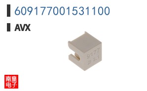 609177001531100